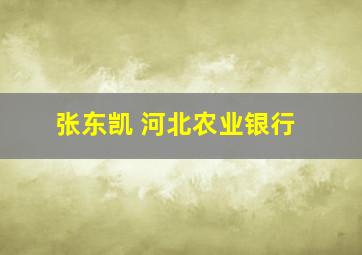 张东凯 河北农业银行